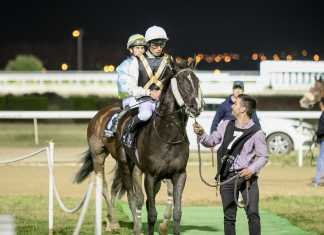 Abril ofrece una nueva jornada de carreras de caballos nocturnas