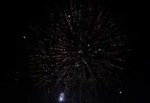 La tarde-noche de la Feria de Mayo se recupera este 2019 la tarde-noche de la Feria de Mayo 2019