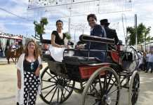 Los mejores caballos y enganches de la Feria de Mayo 2019 los mejores caballos y enganches