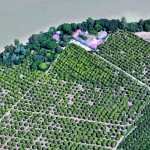 El Rincón de Hernando Ibáñez en la Dos Hermanas Siglo XVI Rincón de Hernando Ibáñez