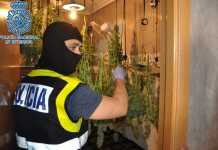 La Policía Nacional desmantela una plantación indoor de marihuana plantación indoor de marihuana