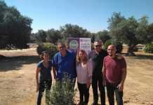 Plantación de un olivo en homenaje al campo de Dos Hermanas plantación de un olivo