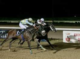 Carreras de caballos con sabor a feria en el hipódromo carreras de caballos con sabor a feria