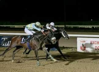 Carreras de caballos con sabor a feria en el hipódromo carreras de caballos con sabor a feria