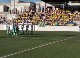 El ascenso a División de Honor no pudo ser para la PD Rociera ascenso a división de honor