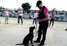 Una nueva promoción de adiestradores caninos se gradúa nueva promoción de adiestradores caninos