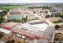 La UPO llevará el número 1 de la Avda. Rectora Rosario Valpuesta la UPO