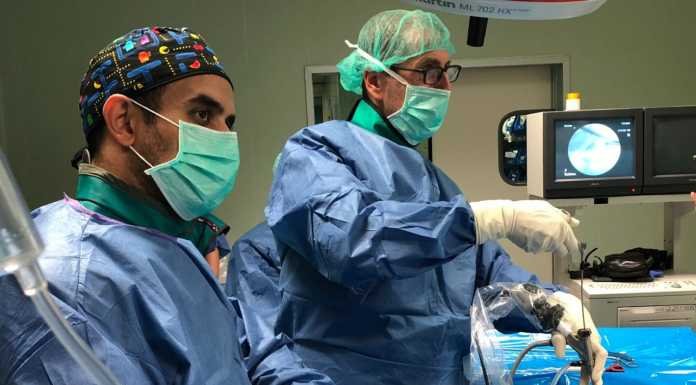 La cirugía endoscópica mínimamente invasiva para extirpar la hernia discal cirugía endoscópica