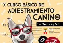 El X Curso Básico de Adiestramiento Canino comienza a final de mes X Curso básico de adiestramiento