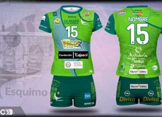 Patrocinio del Proyecto Ergos para Cajasol Voley Esquimo patrocinio del proyecto ergos