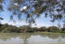 El programa Ven a conocernos de Emasesa abre su inscripción programa ven a conocernos emasesa