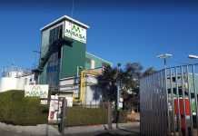 Grupo Migasa recibirá el Premio Alas a la internalización empresarial grupo migasa