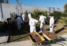 Jornada de voluntariado para mejorar las instalaciones de ASAS jornada voluntariado