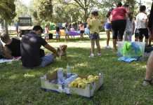 Domingo por el corazón en el parque de La Alquería domingo por el corazón