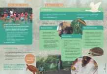 Visitas a la carta a la Laguna de Fuente del Rey visitas a la carta