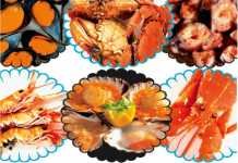 La Feria Gallega del Marisco se dará cita en la Plaza del Arenal feria gallega del marisco