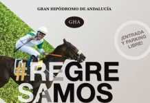 Regresan las carreras de caballos este jueves al hipódromo regresan las carreras de caballos