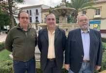 Insignias de oro y menciones de la Asociación Estrella de la Ilusión insignias de oro y menciones