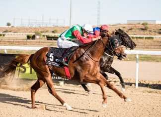 Sousa abre la puerta grande en la 1º jornada hípica de otoño-invierno sousa