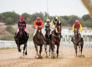 Tres caballos de una misma madre ganaron en una misma jornada tres caballos