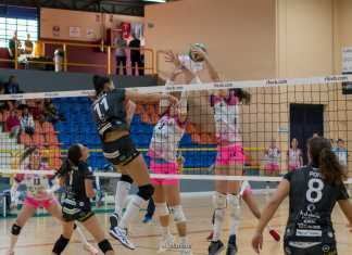 Punto de oro del Cajasol Voley en casa del líder de la Superliga punto de oro