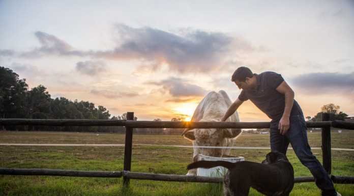 Asador La Perdida entra en la Guía Michelin 2020 asador la perdida