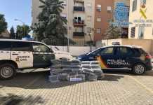 Cae una organización que recolectaba marihuana para su venta en Europa cae una organización