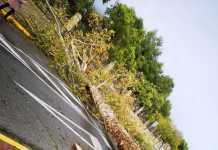 La tormenta Daniel se notó en la ciudad el pasado lunes tormenta daniel