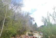 El curso de Monitor de Comedor Escolar se clausura en la Zona Sur curso de monitor de comedor escolar