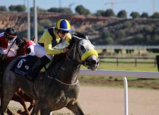 Festival de Parsifal en el cierre hípico de 2019 en Dos Hermanas festival de Parsifal