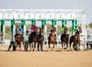Contundente victoria del caballo Streaker en el hipódromo contundente victoria