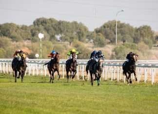 Brandom triunfa con autoridad en el hipódromo nazareno brandom