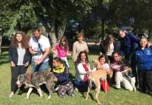 Perros y personas que se ayudan mutuamente en ASAS perros y personas