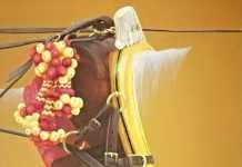 Joaquín Alcántara anunciará la exhibición de enganches de Sevilla joaquín alcántara