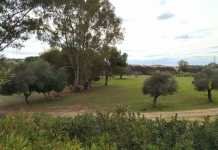 Centro Integral de Educación desde la Naturaleza como idea innovadora centro integral