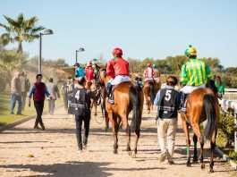 Fase más atractiva de la temporada hípica comienza en el hipódromo fase más atractiva