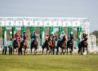 Los fondistas copan el protagonismo en el hipódromo los fondistas copan el protagonismo