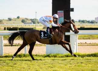 Qatar River se lleva a Francia el GP de fondistas Qatar River