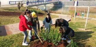 El III Encuentro de Escuelas Ambientales se pasa al parque forestal III Encuentro de Escuelas Ambientales