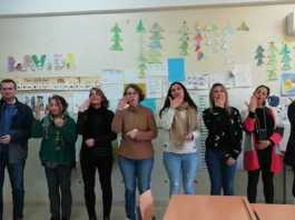 formación del profesorado