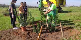 Mañana medioambiental en el parque forestal para alumnado de Secundaria mañana medioambiental