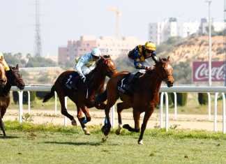 Arab Poet, el amo en el hipódromo de Dos Hermanas arab poet