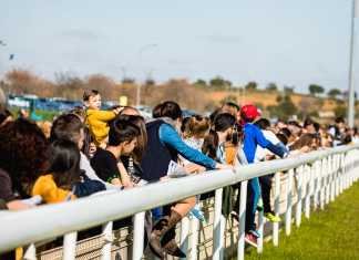 El Gran Premio Roberto Cocheteux este domingo en el hipódromo Gran Premio Roberto Cocheteux
