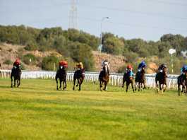Pueyo se lleva el Memorial Javier Piñar Hafner en el hipódromo pueyo