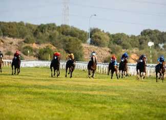 Pueyo se lleva el Memorial Javier Piñar Hafner en el hipódromo pueyo