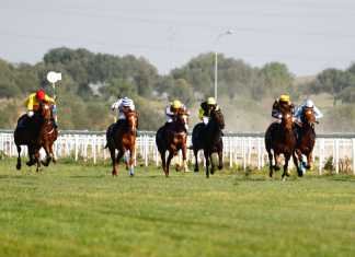 Parsifal se lleva el oro del hipódromo de Dos Hermanas parsifal