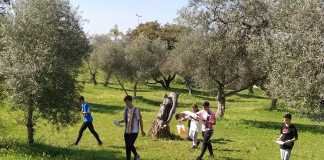 Rotundo éxito del II Campeonato de Centros Escolares de Orientación rotundo éxito