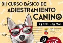 El XII Curso Básico de Adiestramiento Canino empieza el domingo XII Curso Básico de Adiestramiento Canino