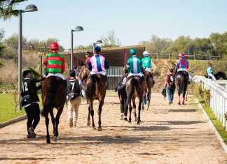 Se aplaza la temporada hípica de primavera en el hipódromo se aplaza