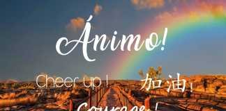 La actividad en la Universidad Popular no ha cesado la actividad